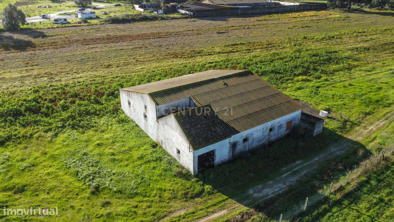 Quinta  Montijo - Jardia p/ Reabilitação c/ 14.000m2  - 3 licenças urb-6