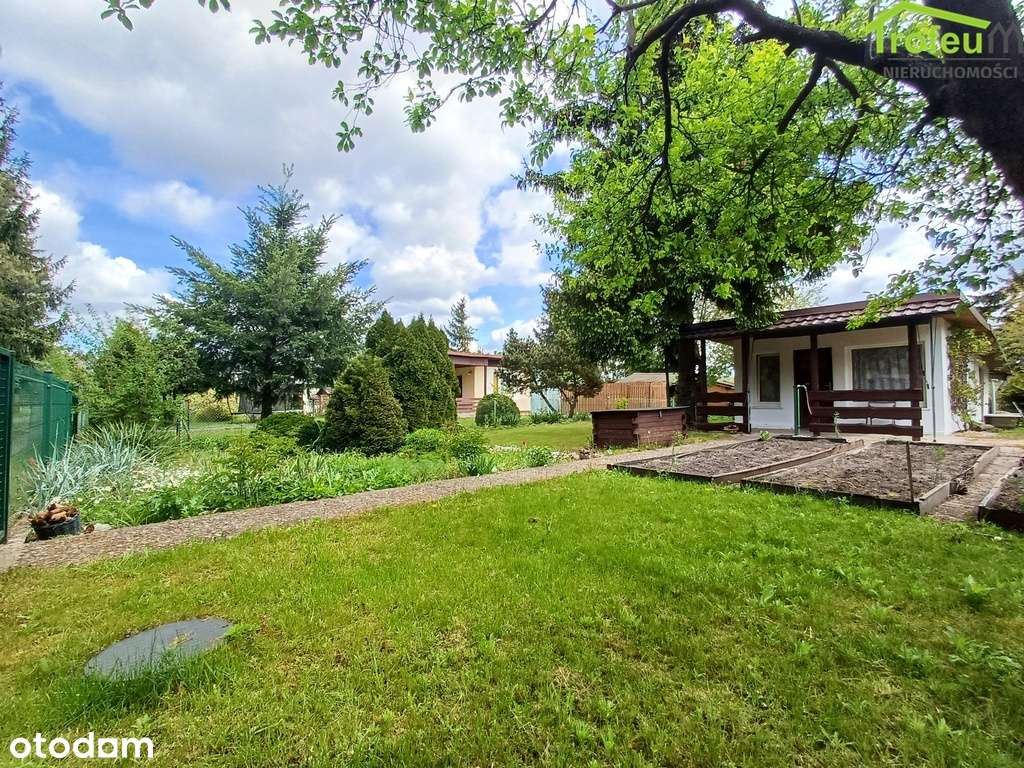 Piękna działka ROD Transportowiec - Pełny obrazek: 2/13