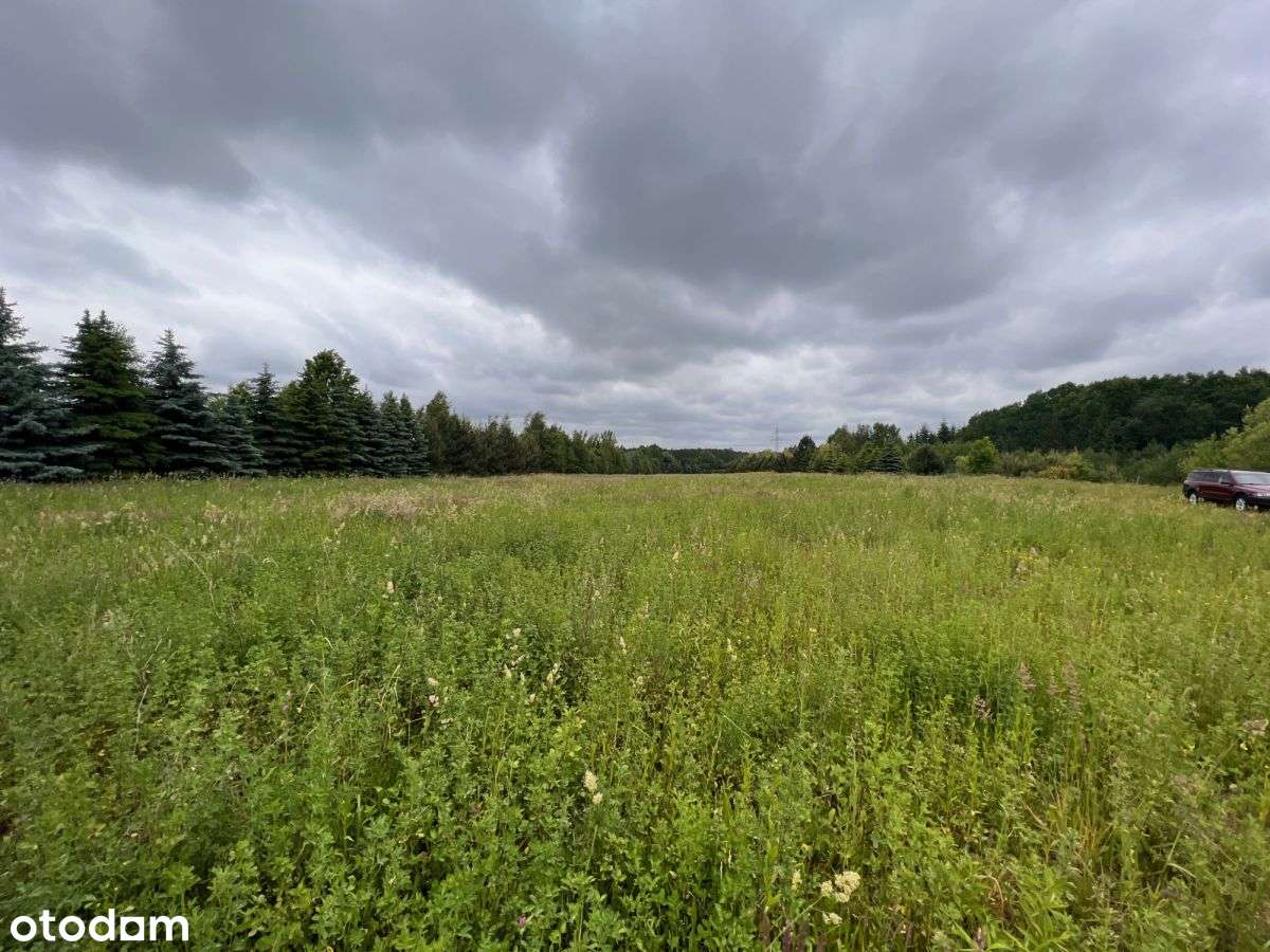 Pod logistykę, magazyny , produkcję1,4 ha - Pełny obrazek: 4/5