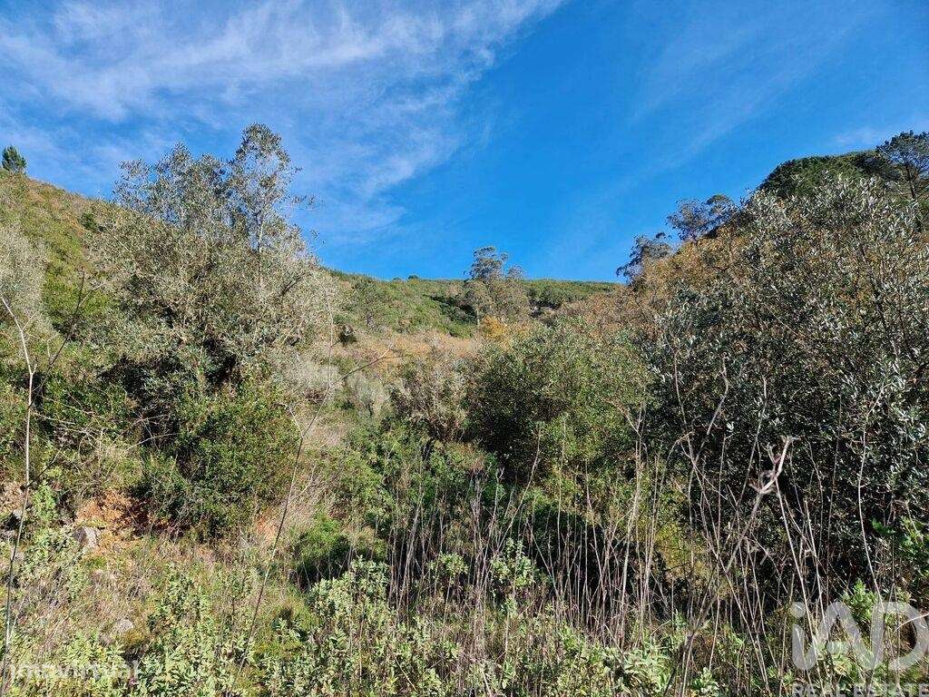 Comércio diverso em Porto de Mós - São João Baptista e São Pedro de 10 - Grande imagem: 2/19