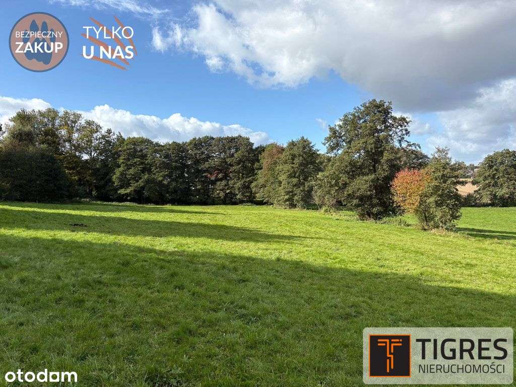 Działka usługowa | Blisko obwodnicy-5