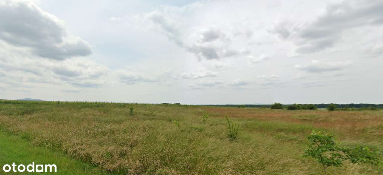 DZIAŁKA INWESTYCYJNA - 19 400 m²  (1,94 ha) - OGROMNY POTENCJAŁ-9