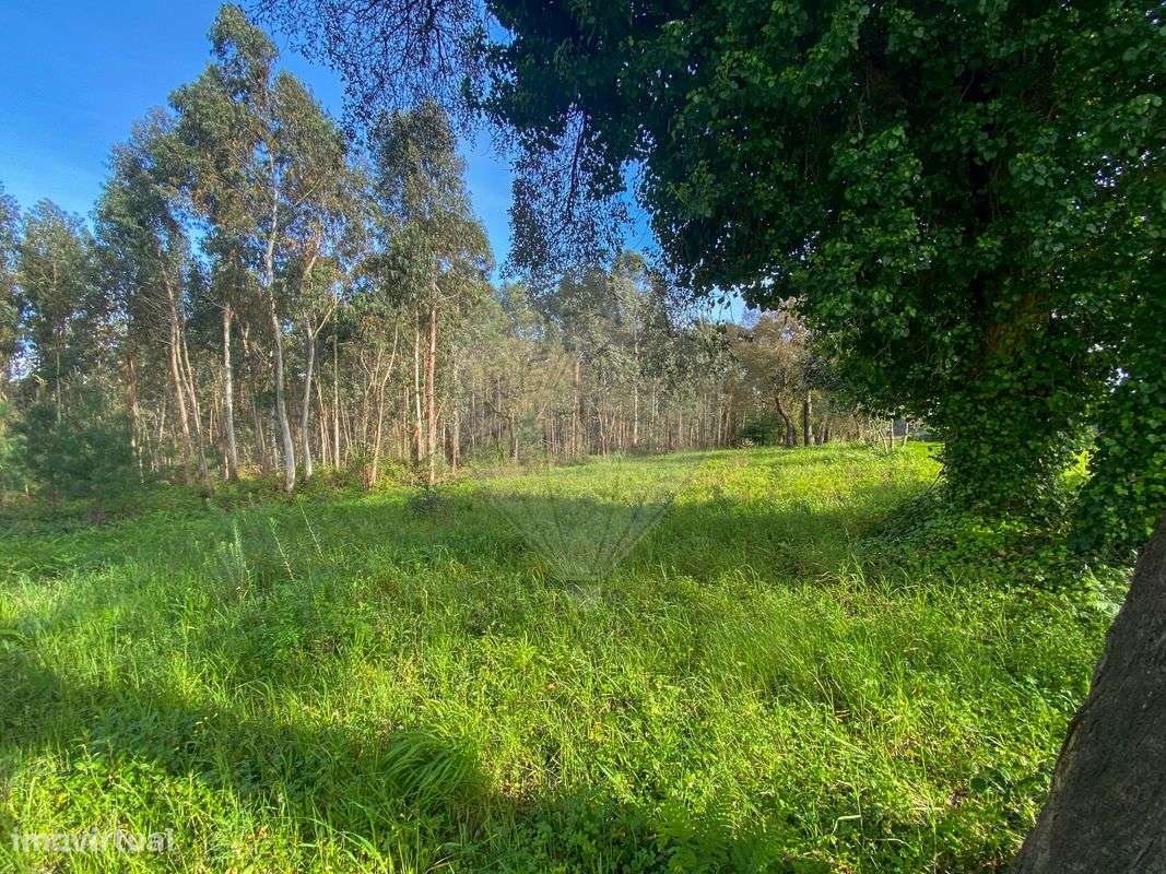 Terreno  para venda - Grande imagem: 2/17