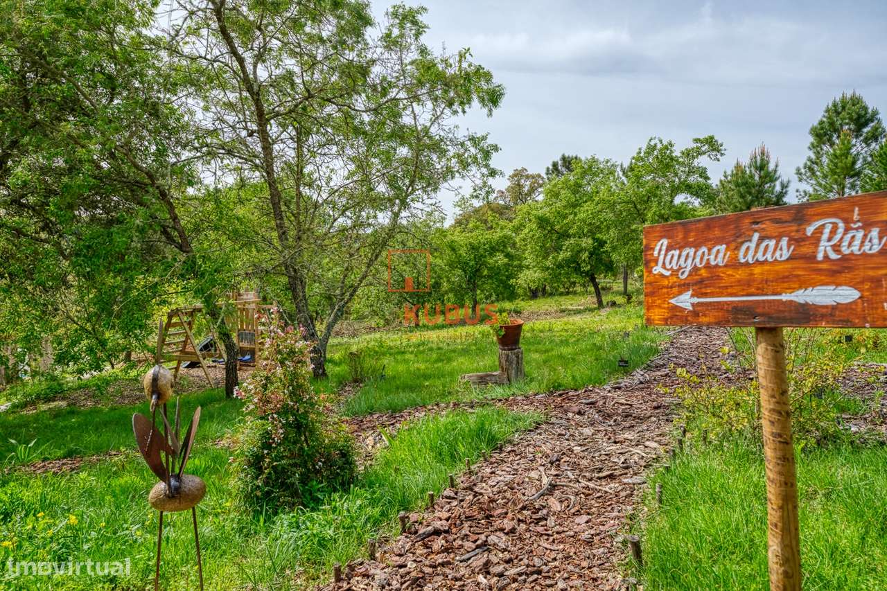 Quinta - Olival, Ourém-20