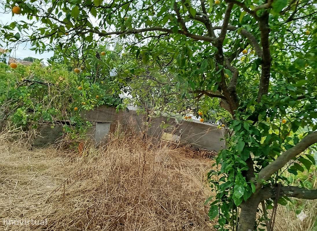 Terreno  para venda - Grande imagem: 5/15