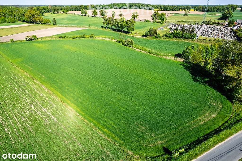 Działka na sprzedaż Ząbrowo - Pełny obrazek: 4/11