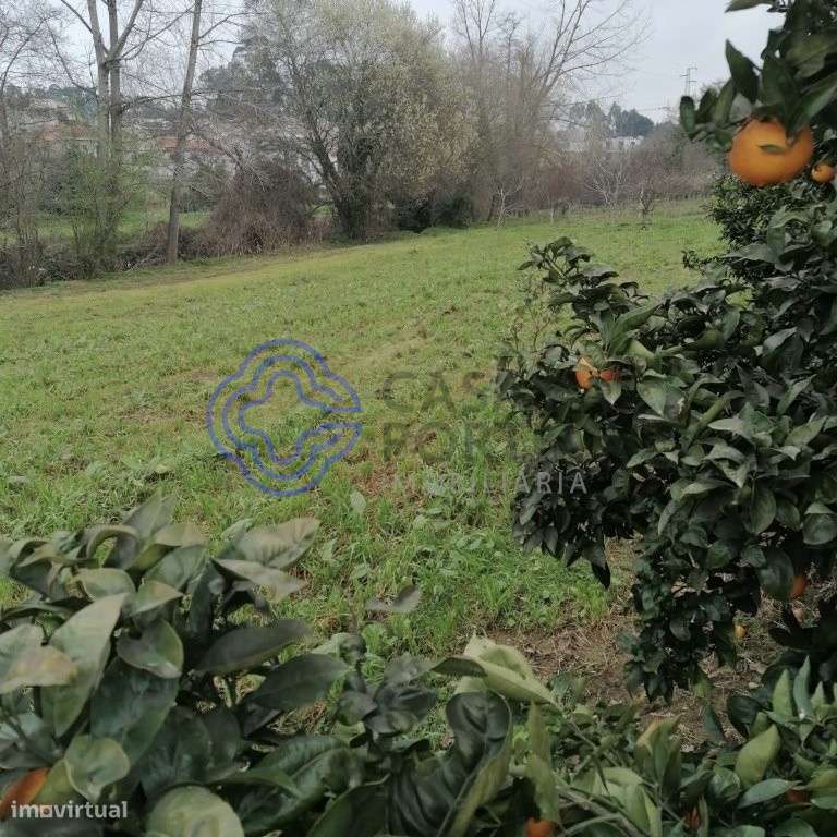 Terreno em Ermesinde com 6.9002 - Grande imagem: 3/6