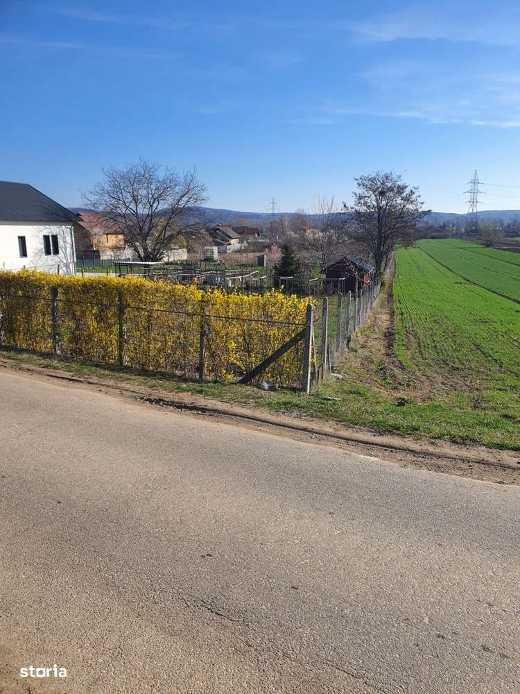 Teren in Teis - Imagine principală: 5/7