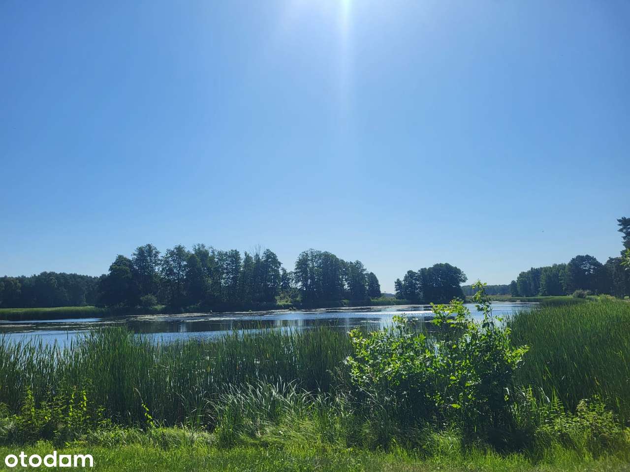 Duża, atrakcyjna działka w malowniczej dzielnicy Kalet - Zielonej.-4