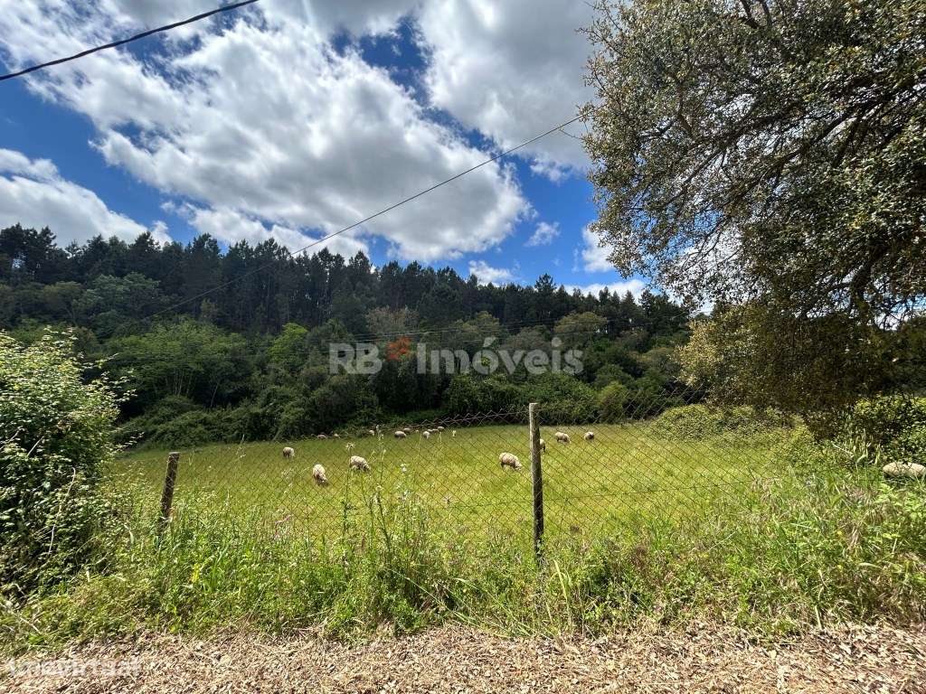 Terreno rústico com PDM Urbano - Carvalhais, Ferreira do Zêzere - Grande imagem: 5/25