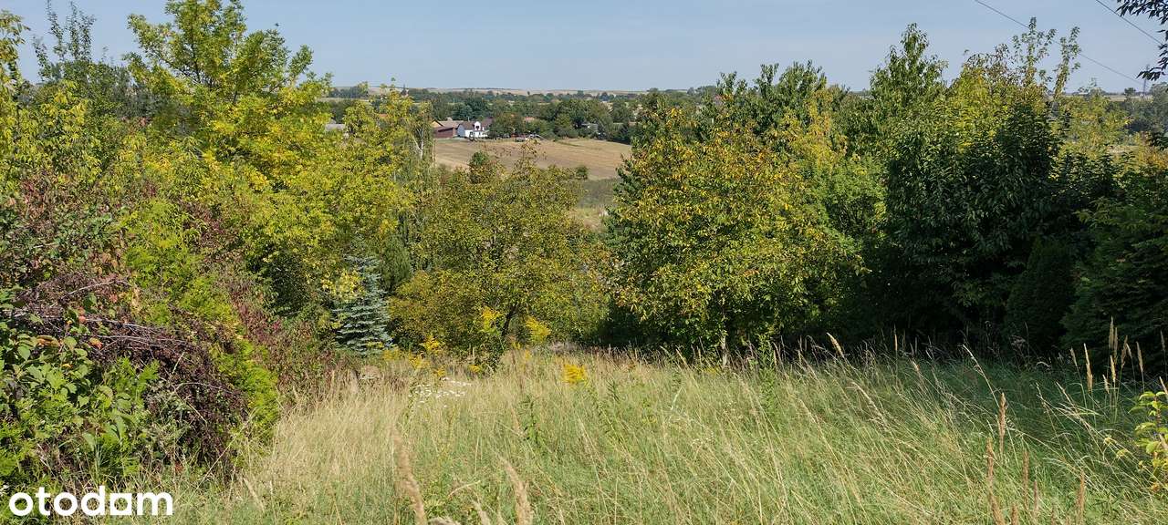 Działka budowlana Prandocin-Wysiołek-10