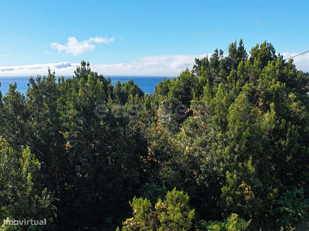 Construa a Sua Casa com Vista Mar em São Mateus Ilha do Pico - Grande imagem: 2/10