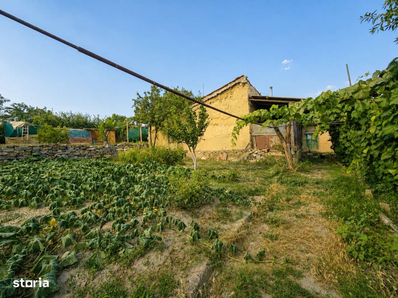 Casă + teren 1.400 mp | Cerna, Tulcea | Aproape de Munții Măcinului-4