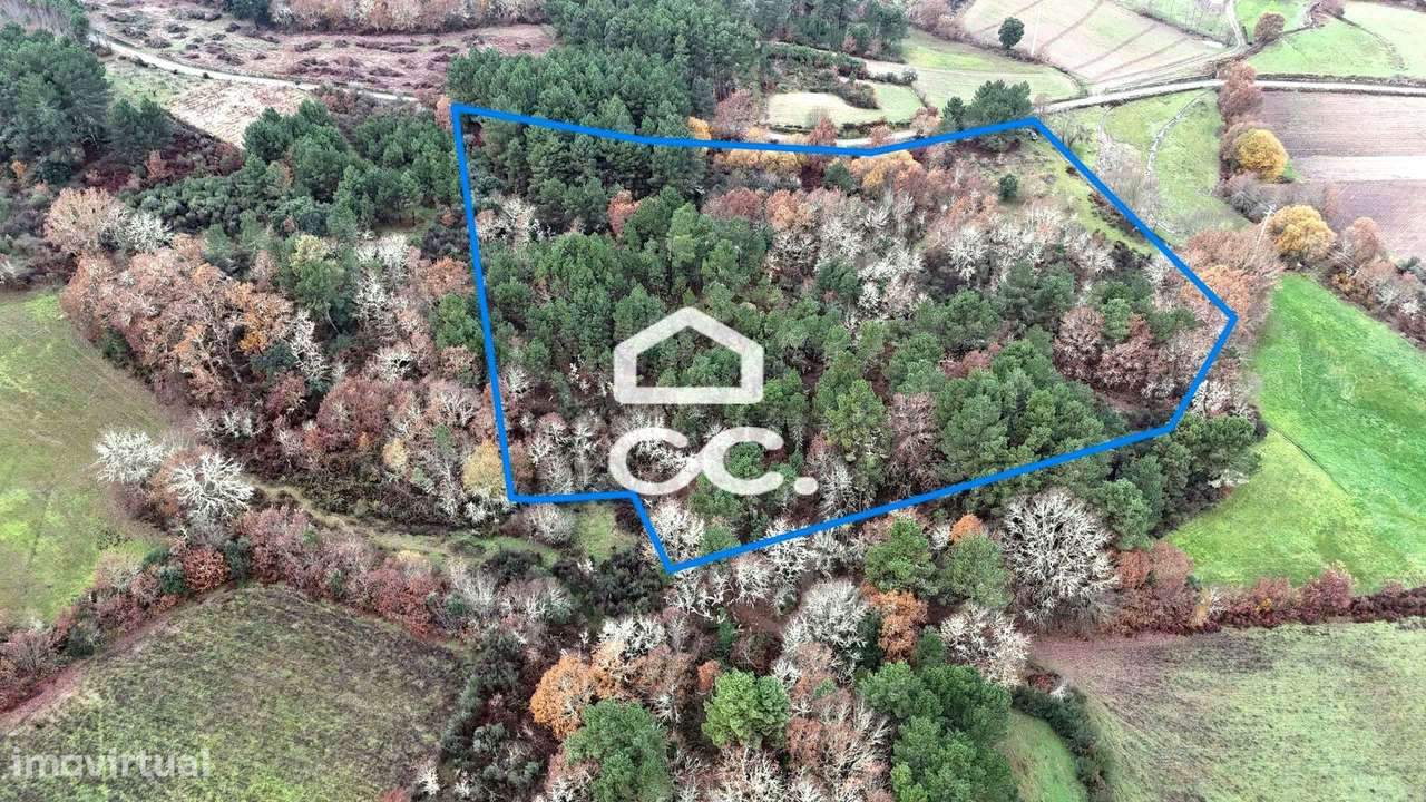 Terreno rústico com dois poço e vista privilegiada - Grande imagem: 3/16