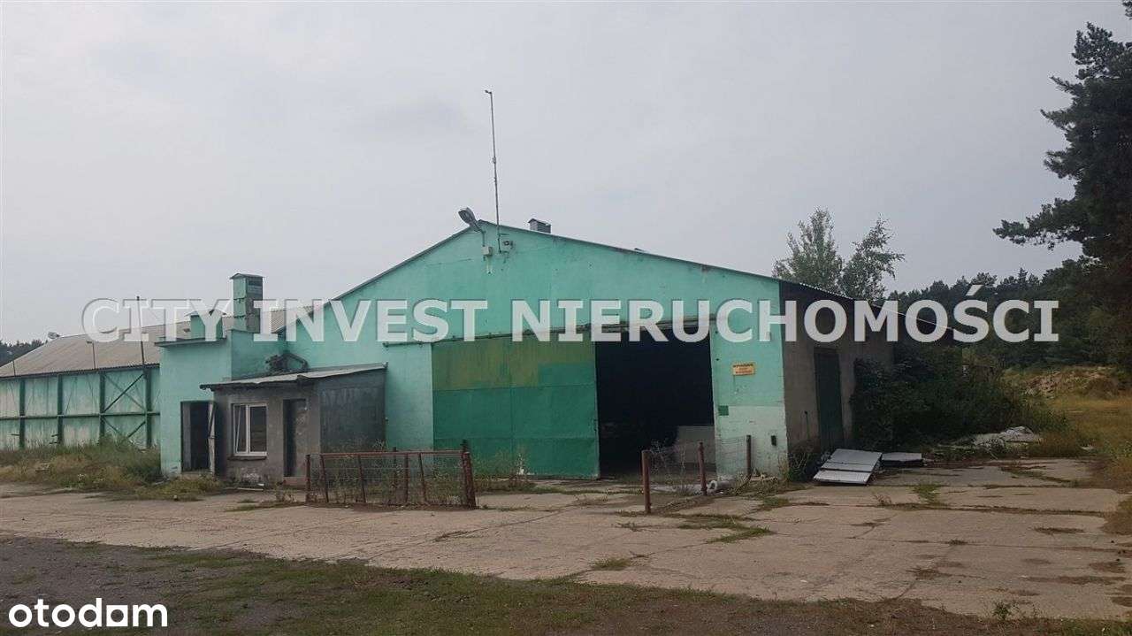 Hala Produkcyjno- Magazynowa - Pełny obrazek: 4/9