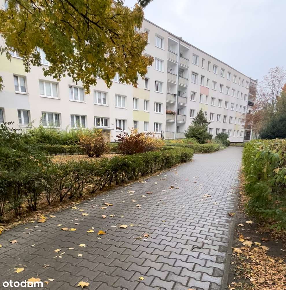 Kompaktowe, 2 Pokoje, os. Jagiellońskie. Idealna Komunikacja Rataje.-0