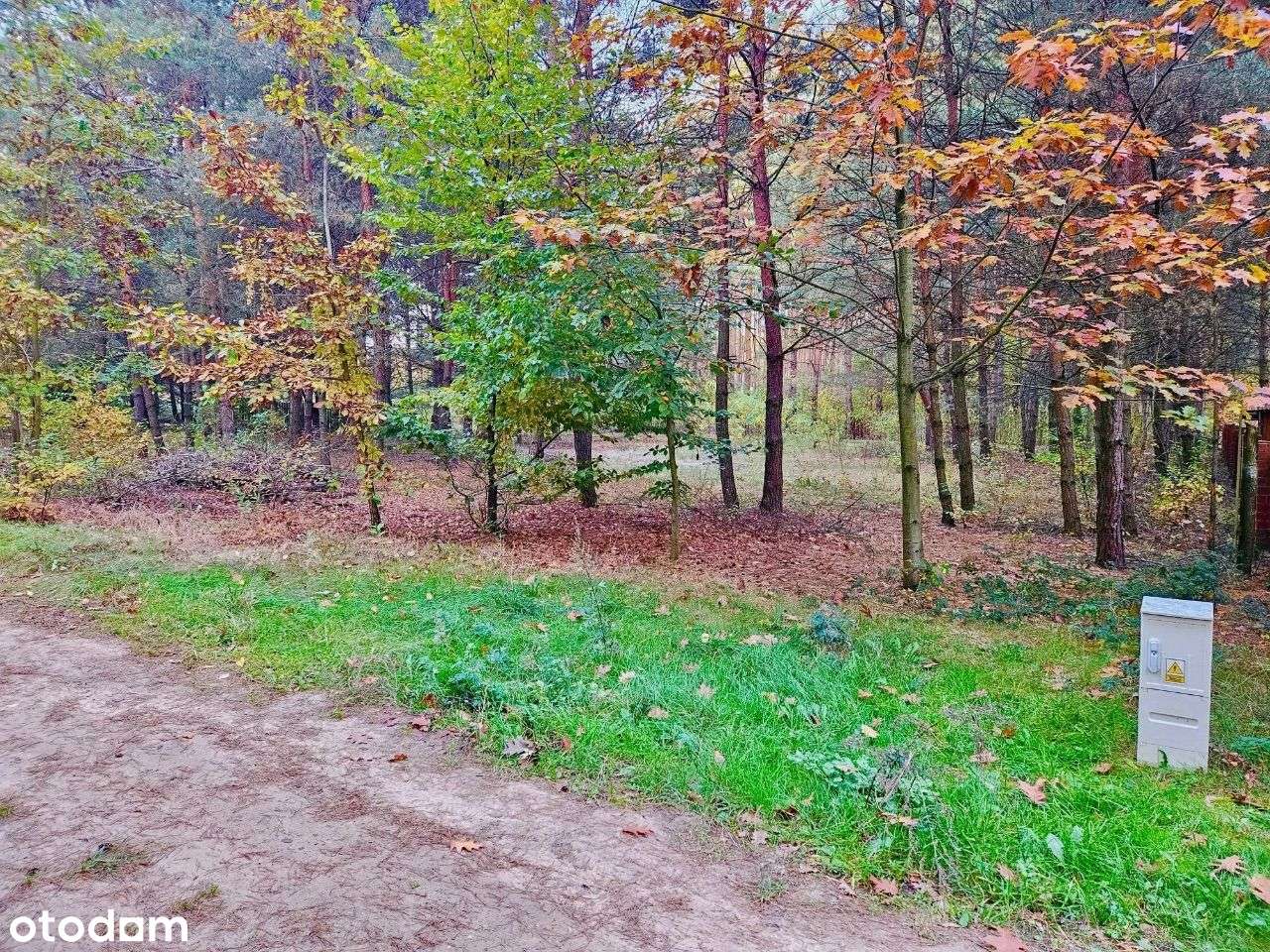 Urocza działka rekreacyjna w Osłoninie - Pełny obrazek: 3/5