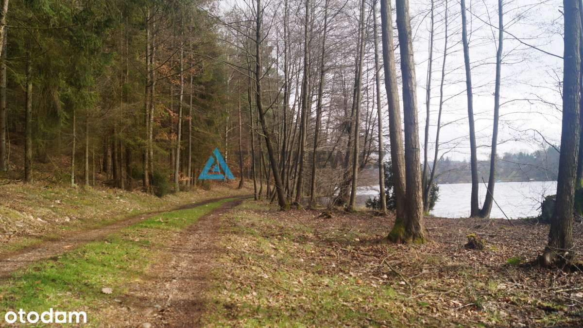 Działka leśna blisko jeziora Kamieniczno - Pełny obrazek: 4/8