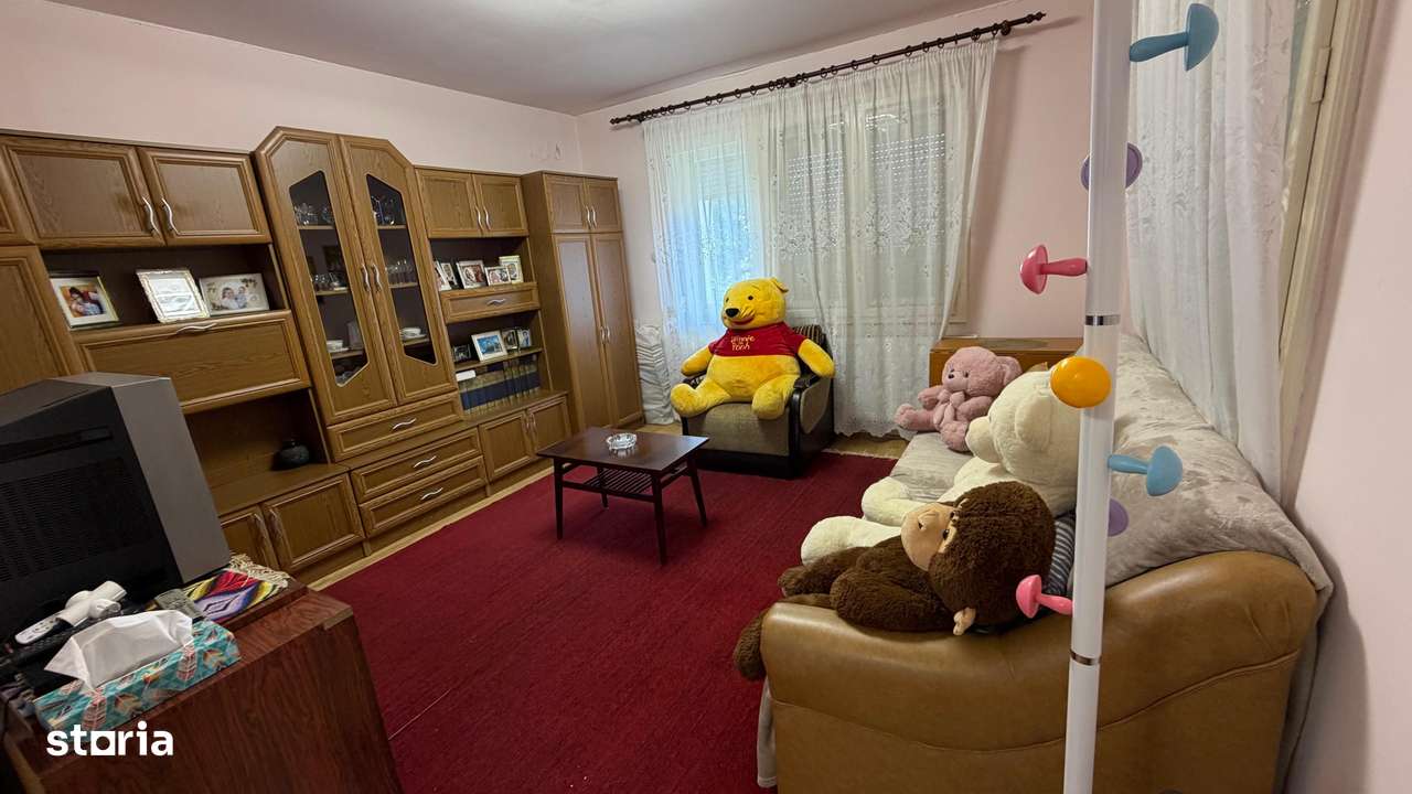 Casa de vacanta la 100m de strandul cu apa termala-2