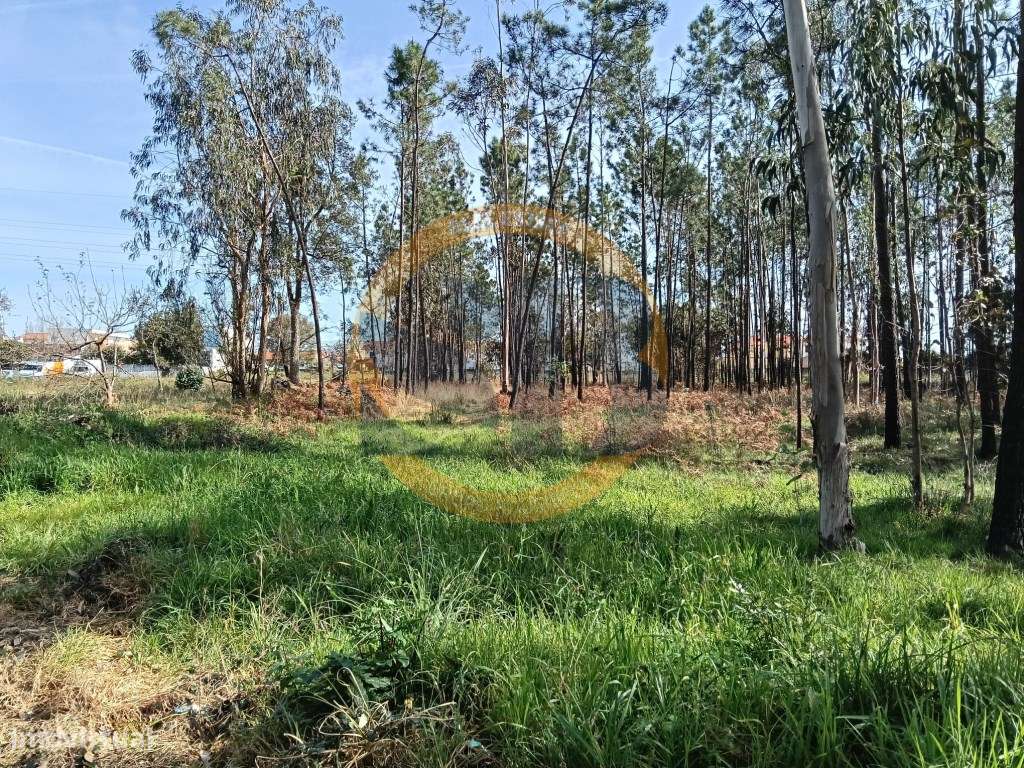 Terreno Santa Maria da Feira - Grande imagem: 2/9