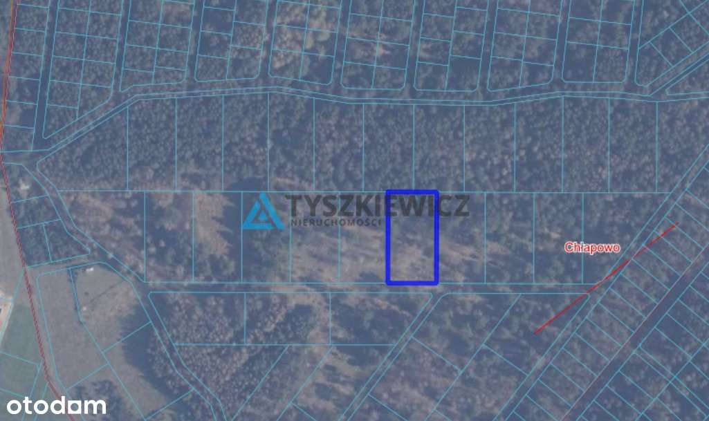 Działka leśna - Pełny obrazek: 5/20