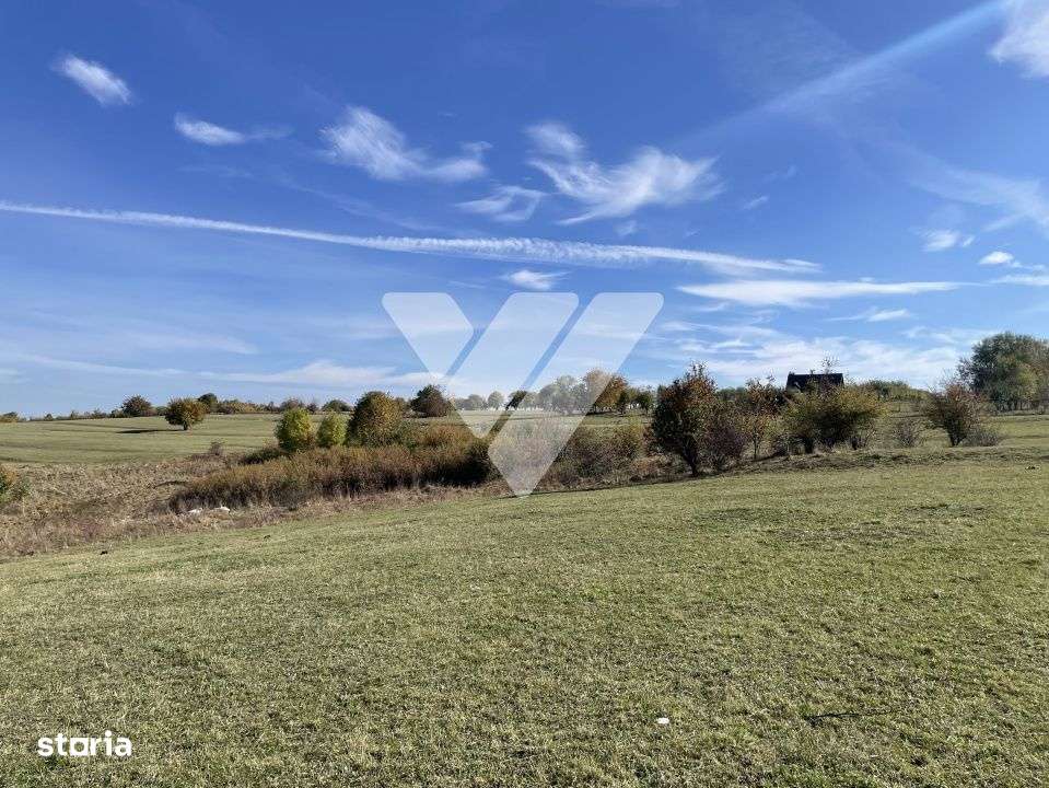 Teren extravilan 1342 mp zona linistita – Rasinari - Sibiu - Imagine principală: 4/11