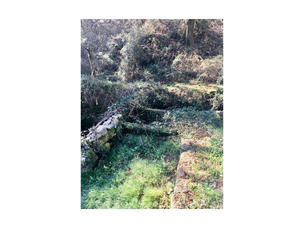 Moinhos Para Recuperar OPORTUNIDADE-15