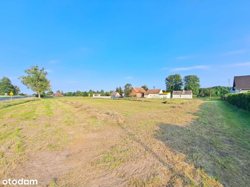 Borowa ul. Klonowa Inwestycja 4 700 m² - Pełny obrazek: 4/7