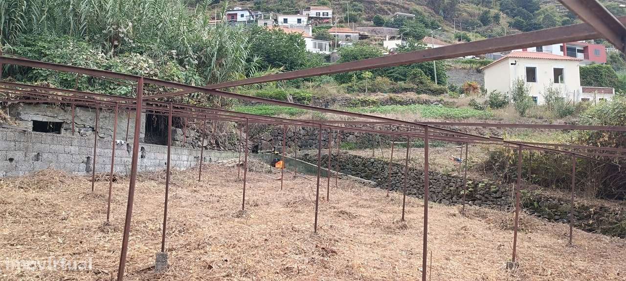 Terreno Urbano  Venda em Campanário,Ribeira Brava-8