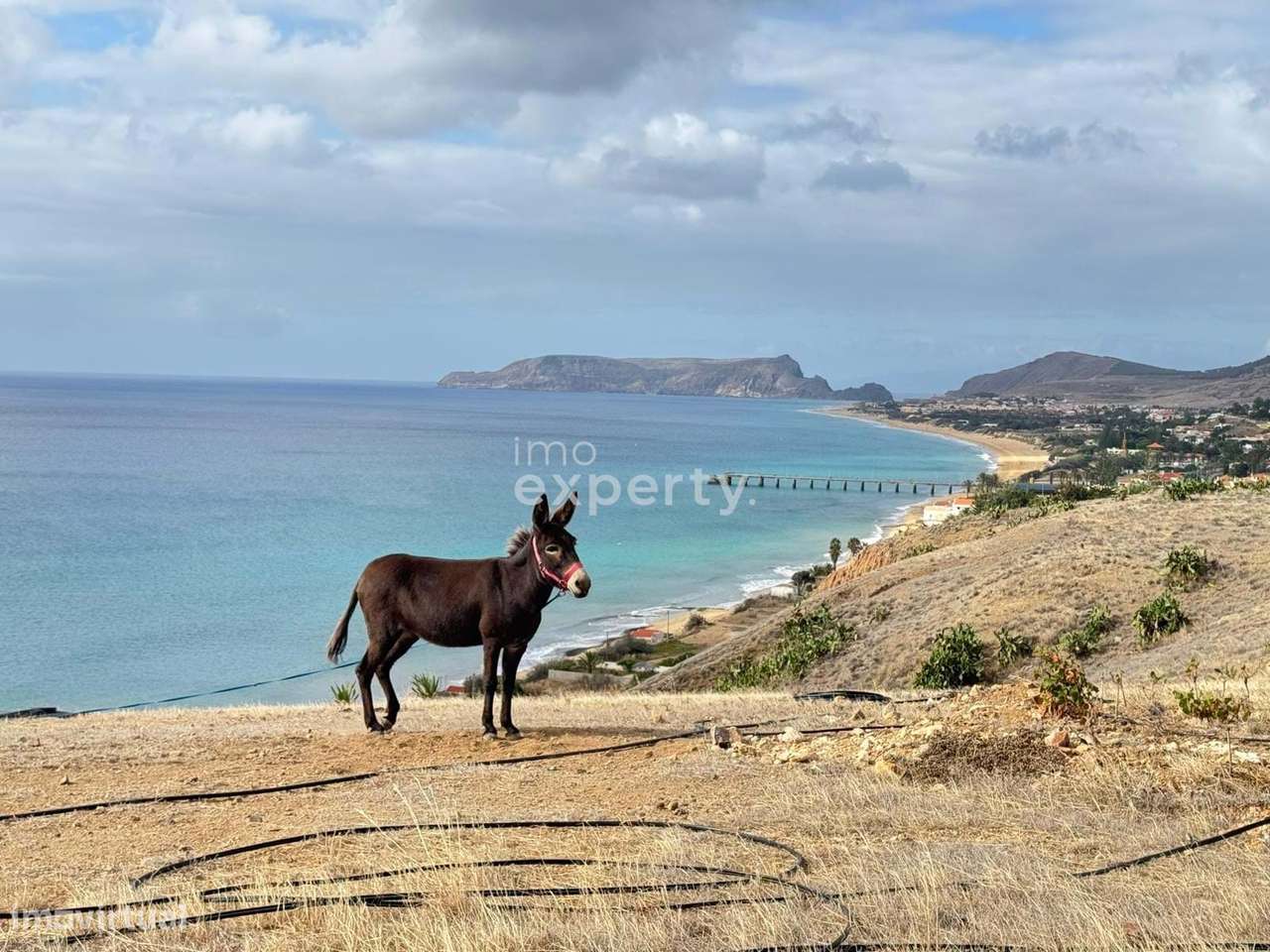 Terreno Exclusivo de 5 ha no Porto Santo - Grande imagem: 5/24