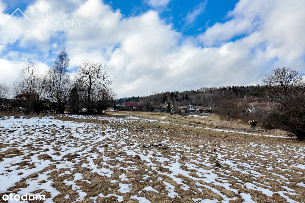 Działka z doskonałym dojazdem. Jeleśnia - nieruchomość inwestycyjna-13