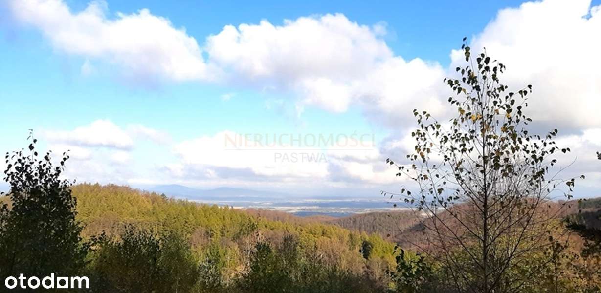 Duża działka budowlano-inwestycyjna/Góry Sowie!-9