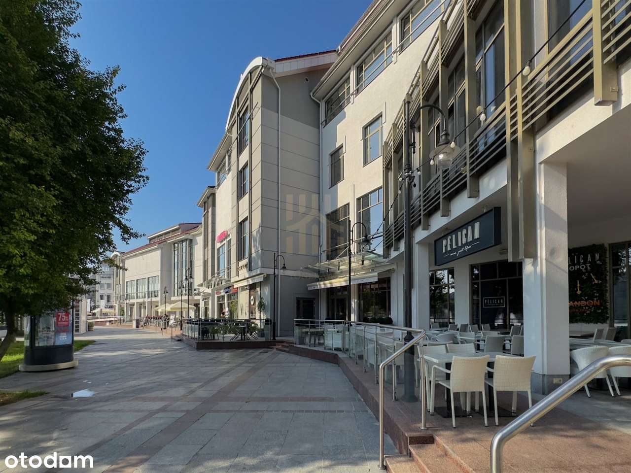 Lokal usługowy parter - Pełny obrazek: 4/13