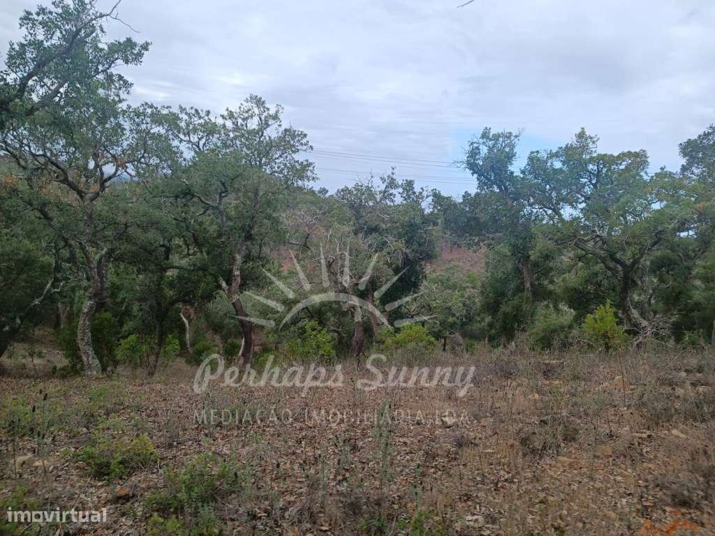 Terreno São Francisco da Serra - Grande imagem: 4/12