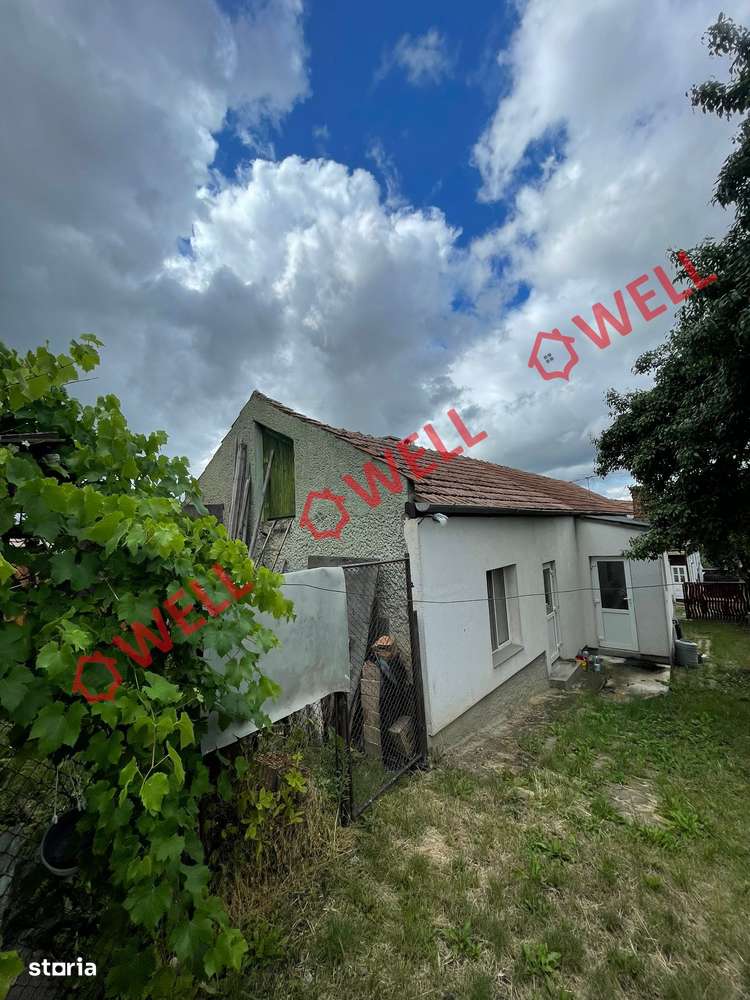 Casă de vânzare în Sfântu Gheorghe, pe strada Cânepei! - Imagine principală: 4/20