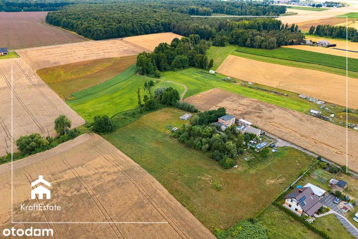 Działka siedliskowa w malowniczej okolicy - Pełny obrazek: 4/10