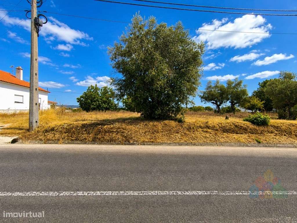 Terreno urbanizável a 5 minutos de Tomar-6