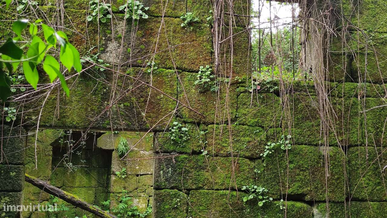 Quinta  Venda em Penhalonga e Paços de Gaiolo,Marco de Canaveses-43