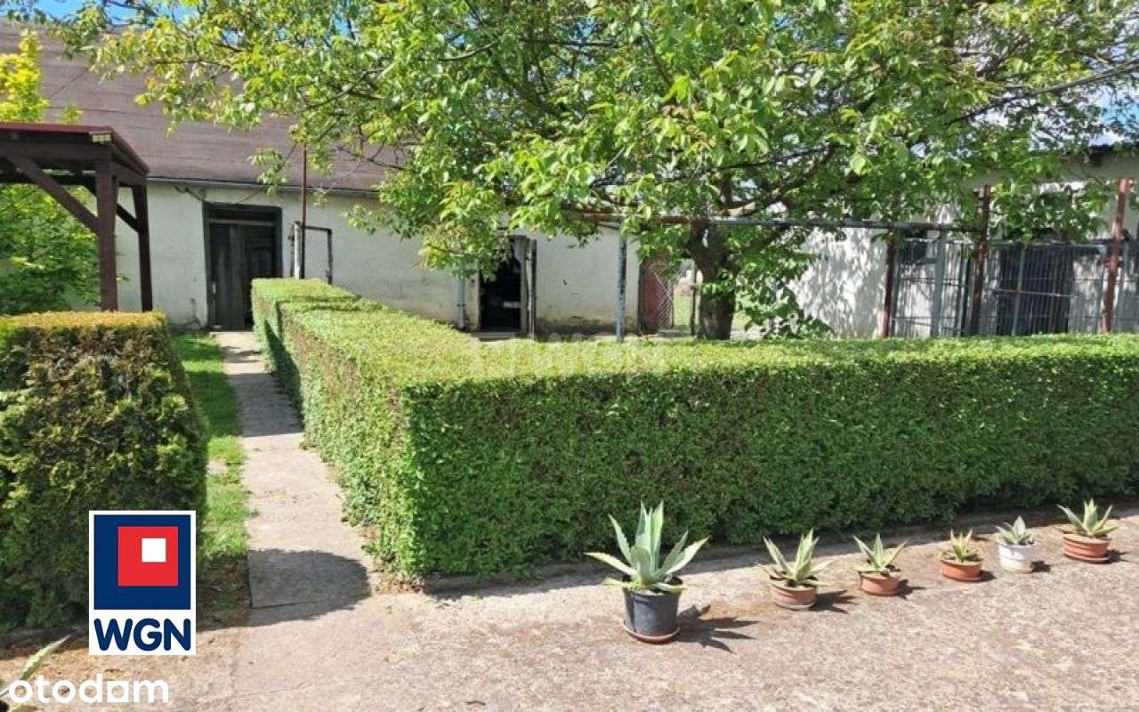 Siedlisko W Pobliżu Torunia-15