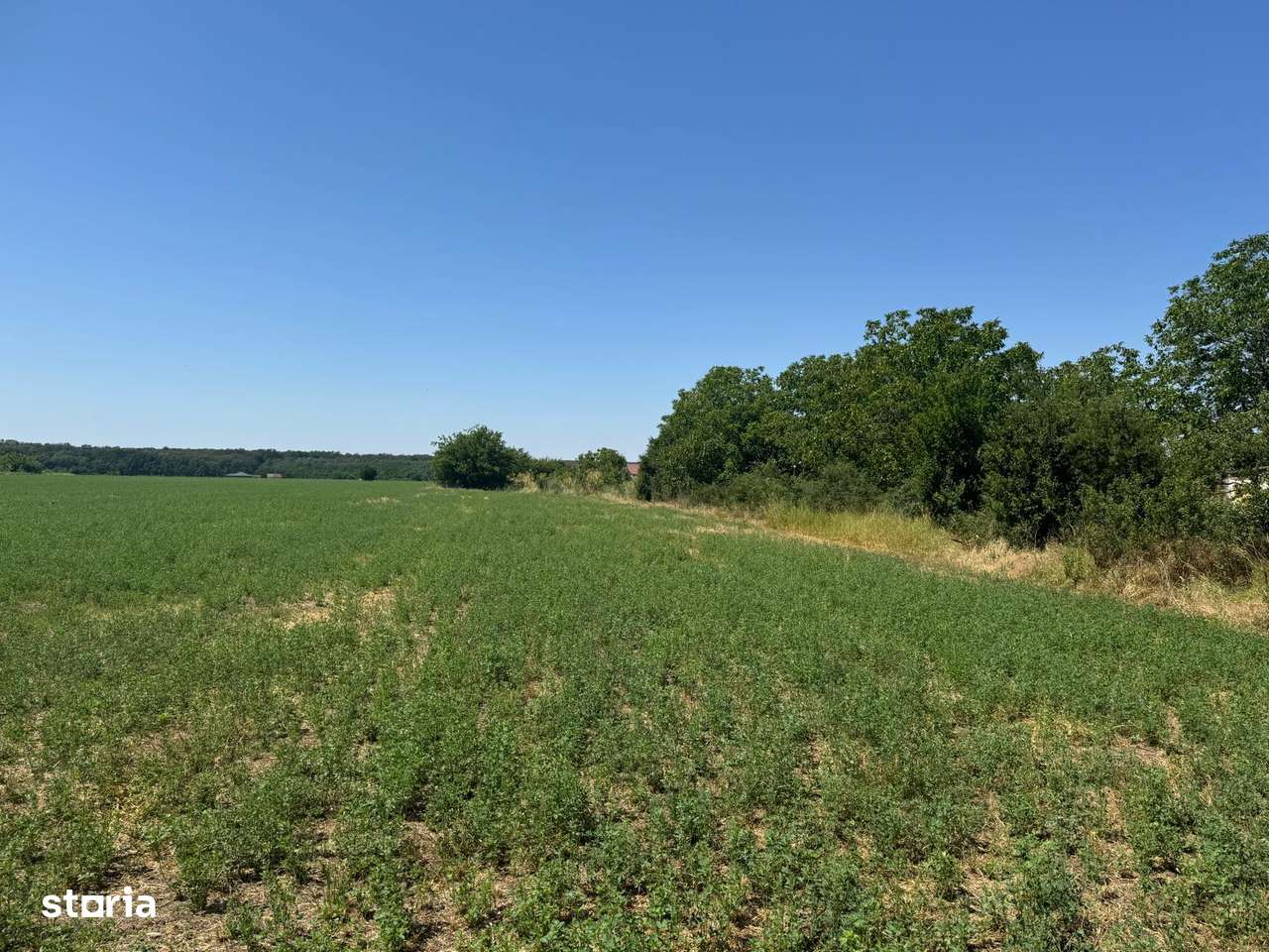 Vanzare Teren  construibil  2600mp Ganeasa-9