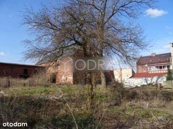 Lokal użytkowy, 300 m², Jelcz-Laskowice - Pełny obrazek: 4/8