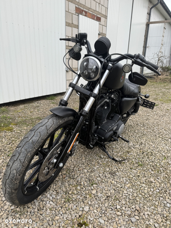 Harley-Davidson Sportster Iron 883 - 2