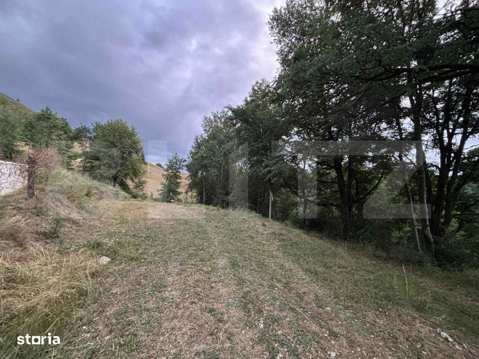 Teren intravilan de 1585 mp, Campeni - Imagine principală: 4/6