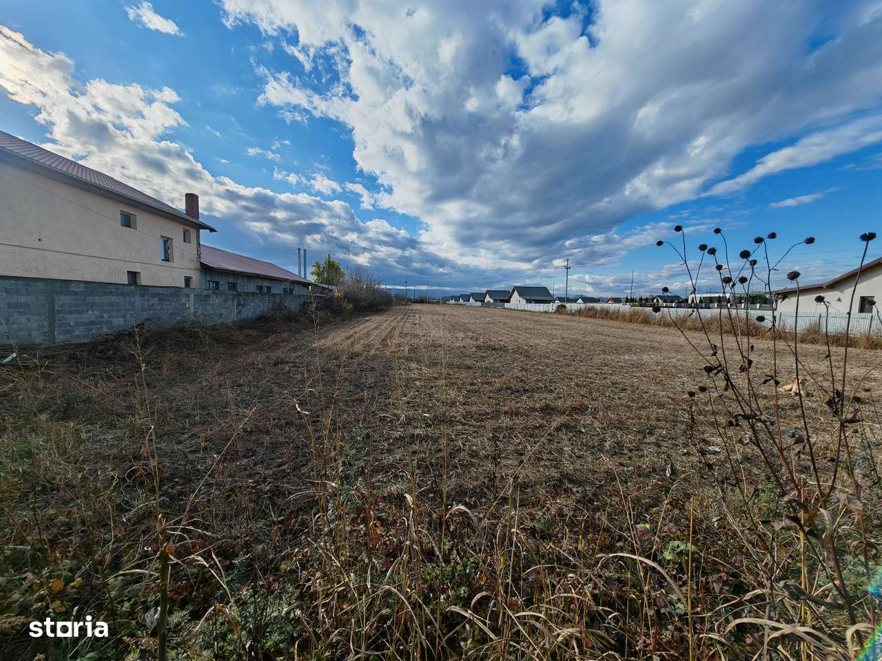 Teren constructii, Letea-Veche - Imagine principală: 2/9