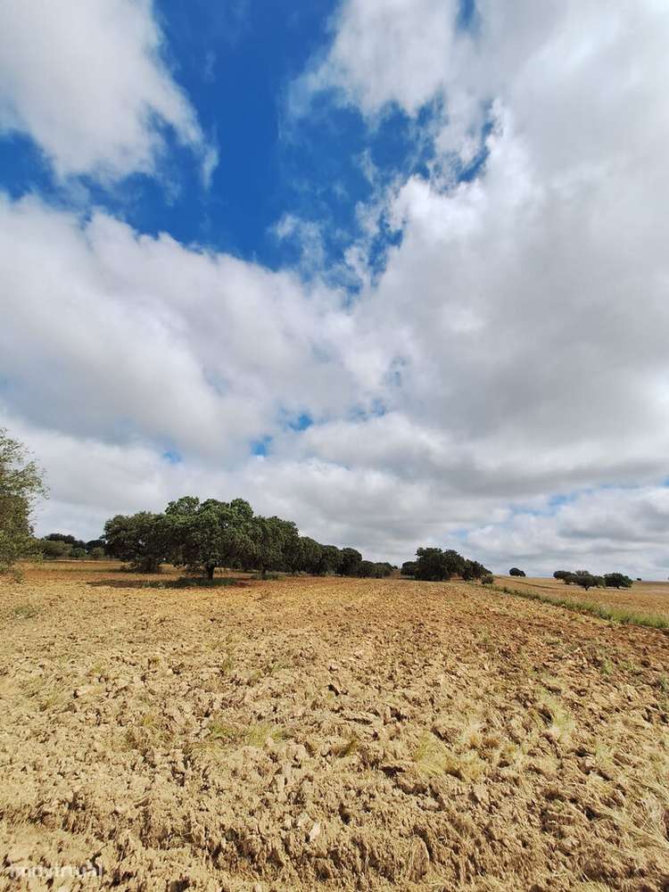 Venda Terreno - Grande imagem: 5/21