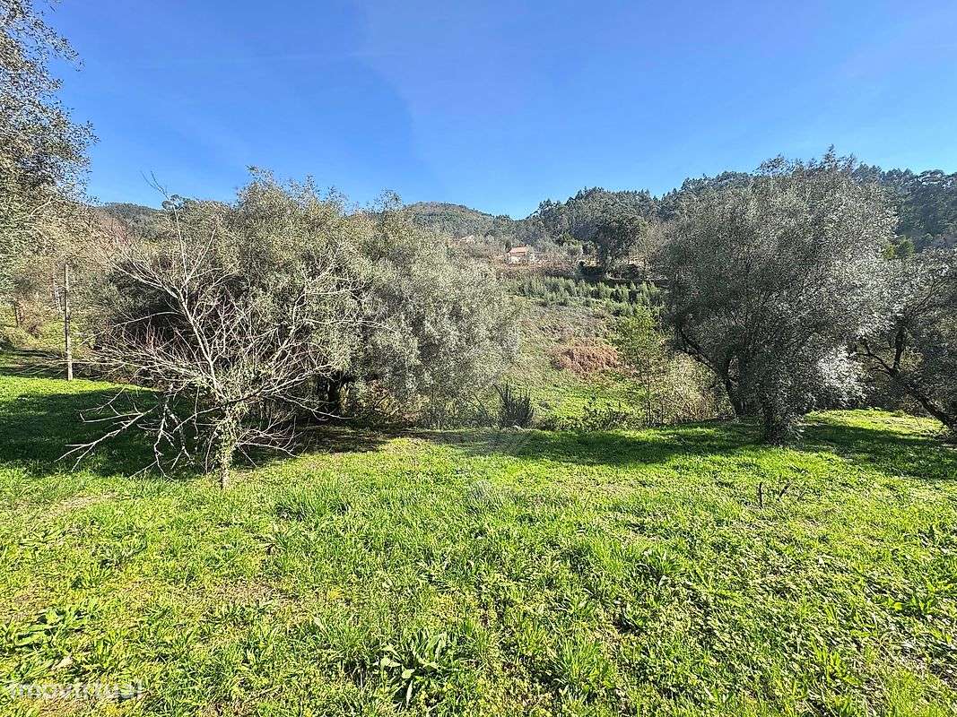 Terreno  para venda-14