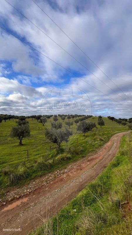 Terreno  para venda - Grande imagem: 5/8