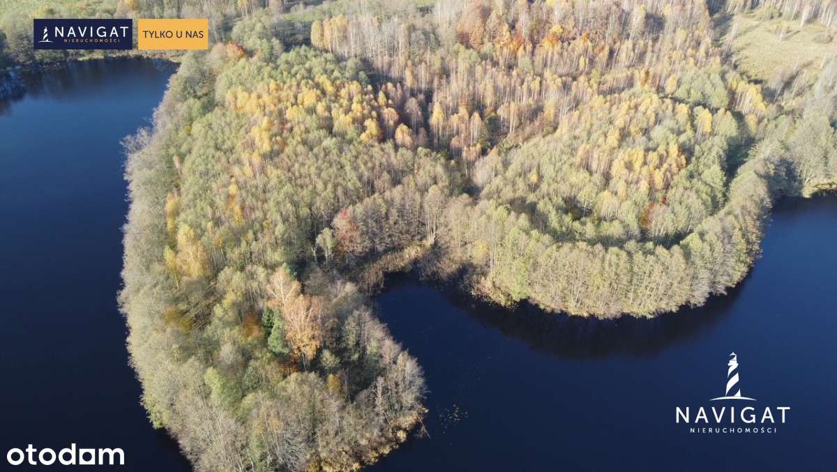 Teren inwestycyjny z linią brzegową jeziora - Pełny obrazek: 4/13