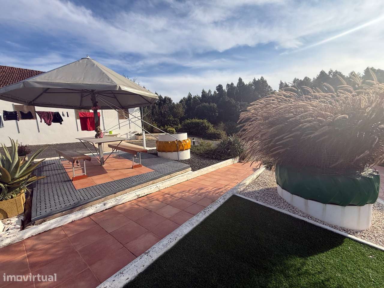 Quintinha com habitação, armazéns e terreno - Rio Maior-28