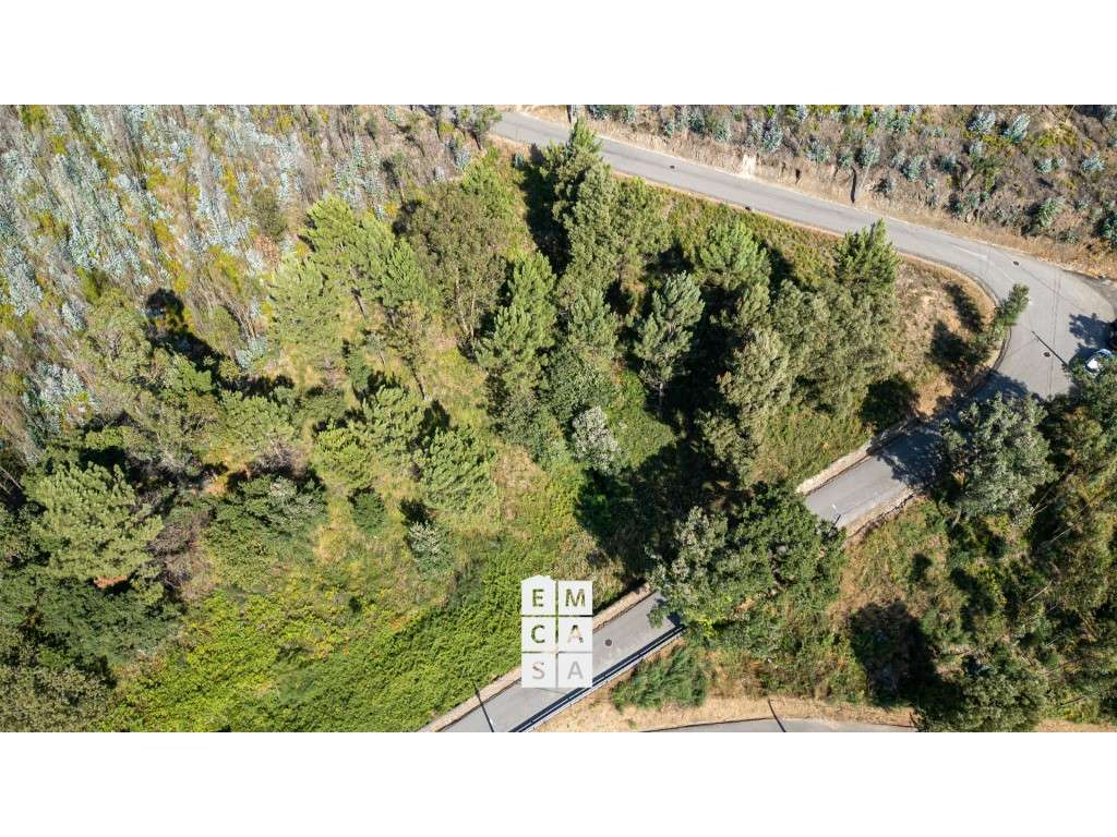 Terreno para Construção Vista Cidade e Mar | Branca - Albergaria-a-... - Grande imagem: 5/10